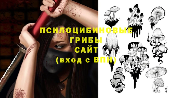 ГАЛЛЮЦИНОГЕННЫЕ ГРИБЫ Абинск